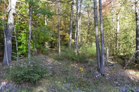 L828 Hendricks Road Bolton Landing NY 12814