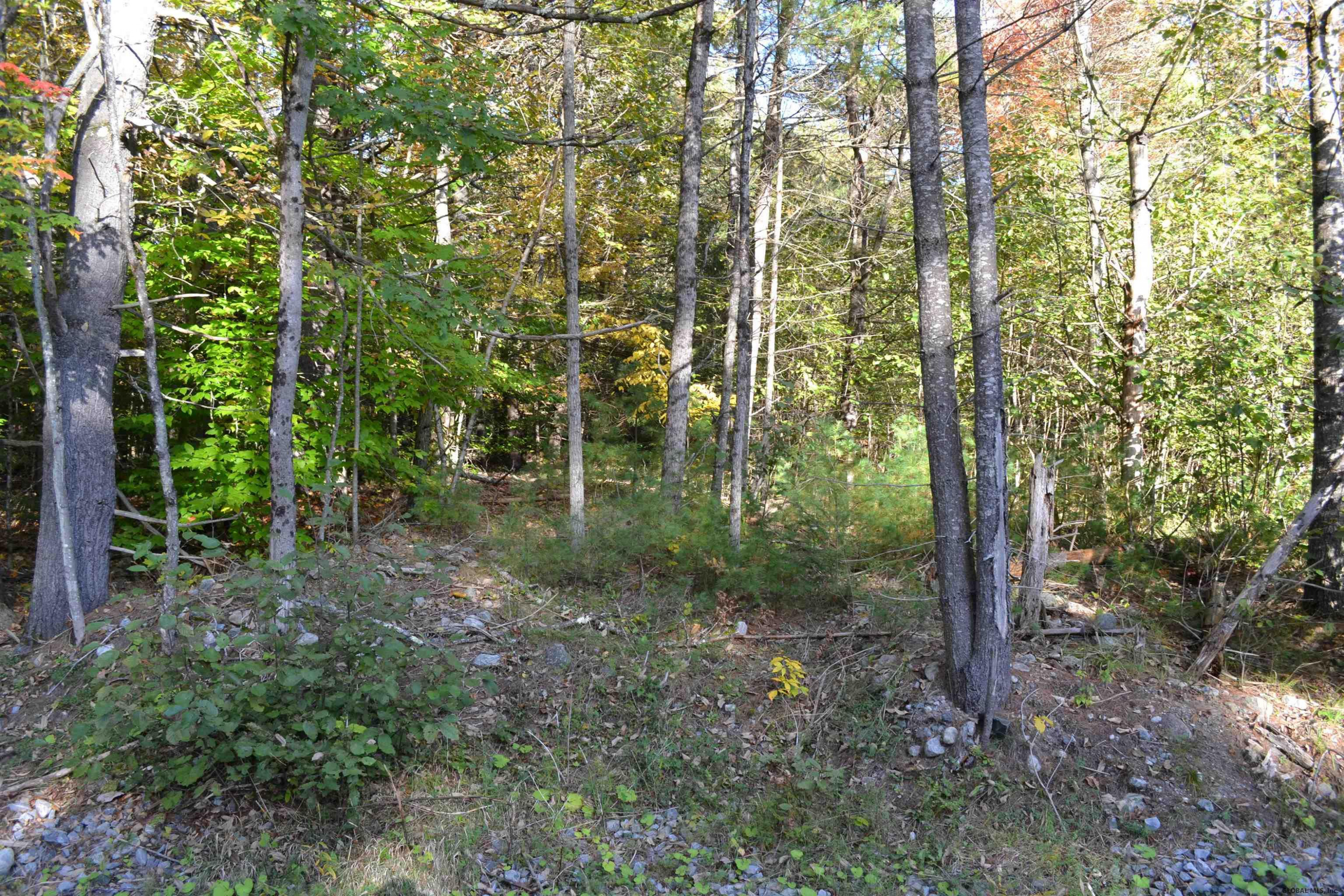 L828 Hendricks Road Bolton Landing NY 12814
