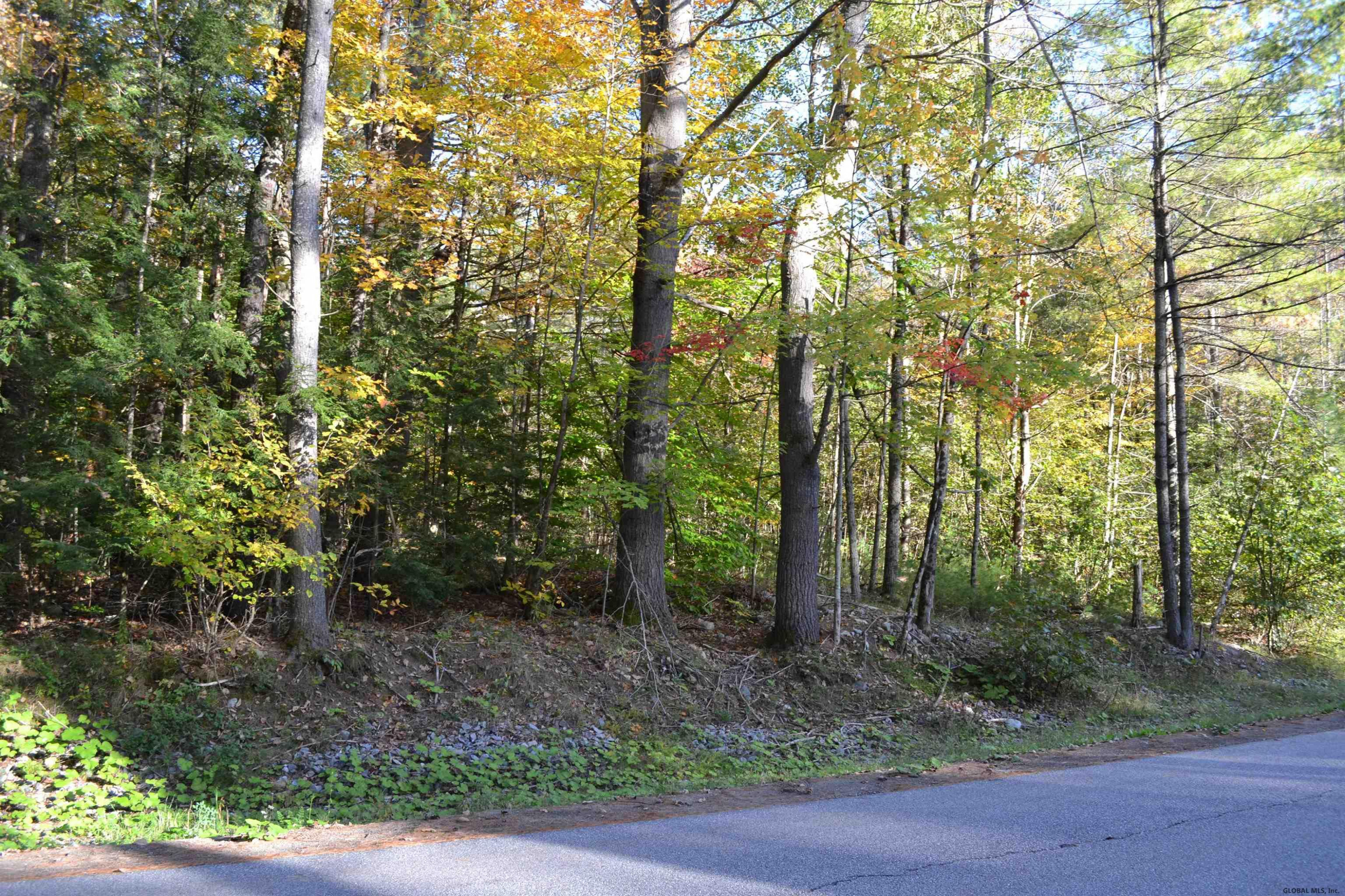L828 Hendricks Road Bolton Landing NY 12814