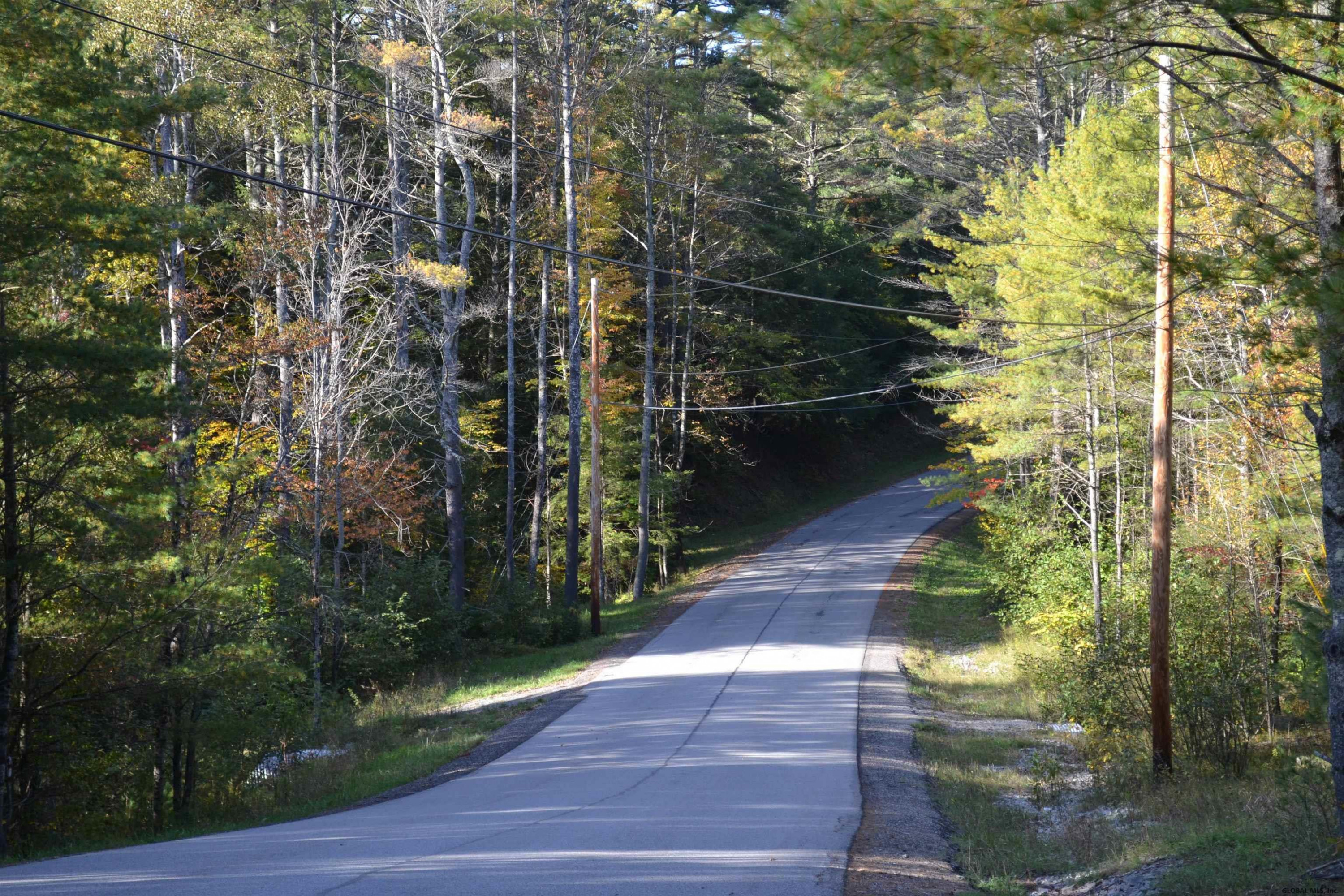 L828 Hendricks Road Bolton Landing NY 12814