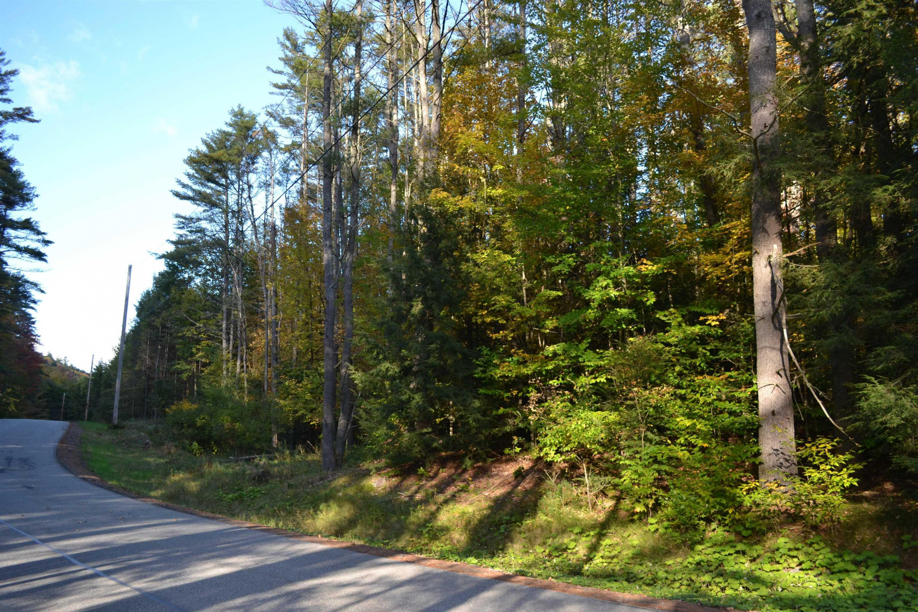 L828 Hendricks Road Bolton Landing NY 12814