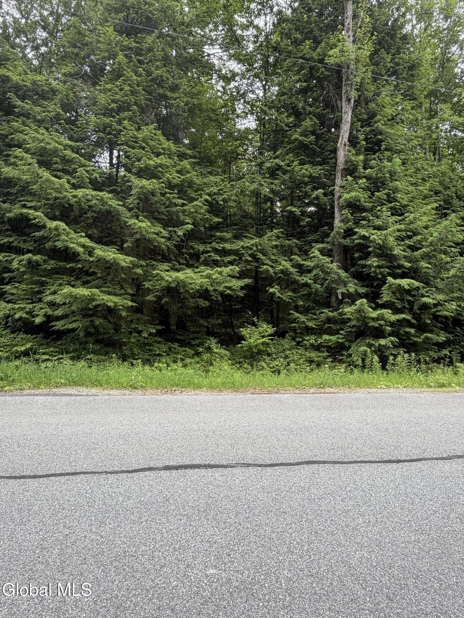 24 Griffen Road Greenfield NY 12833