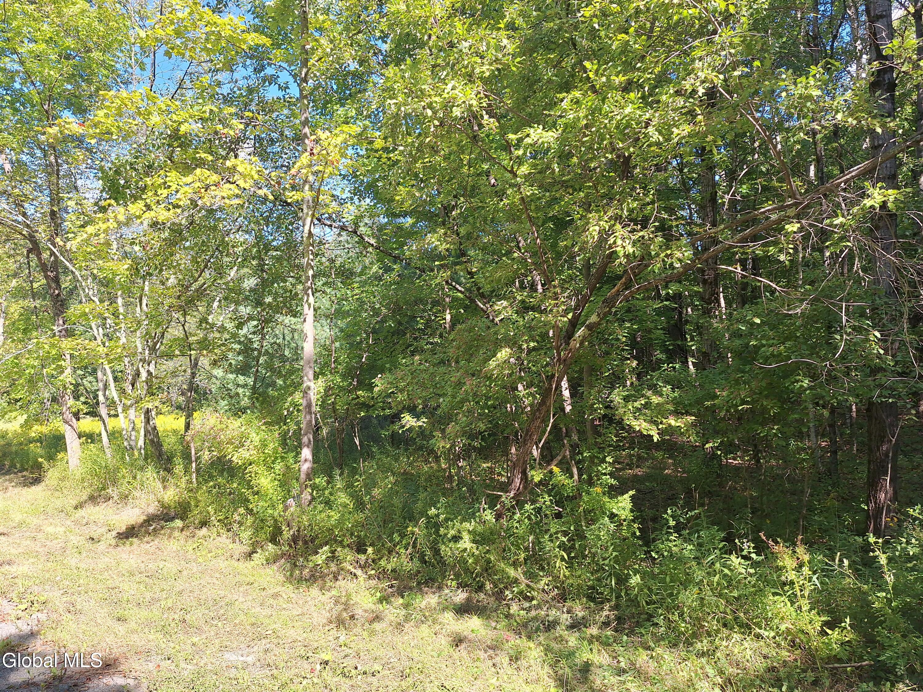 L5.22 Weaver Dam Road Petersburgh NY 12138