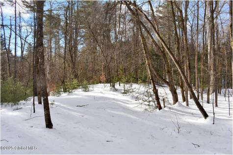 L94 Highview Lane Wevertown NY 12886
