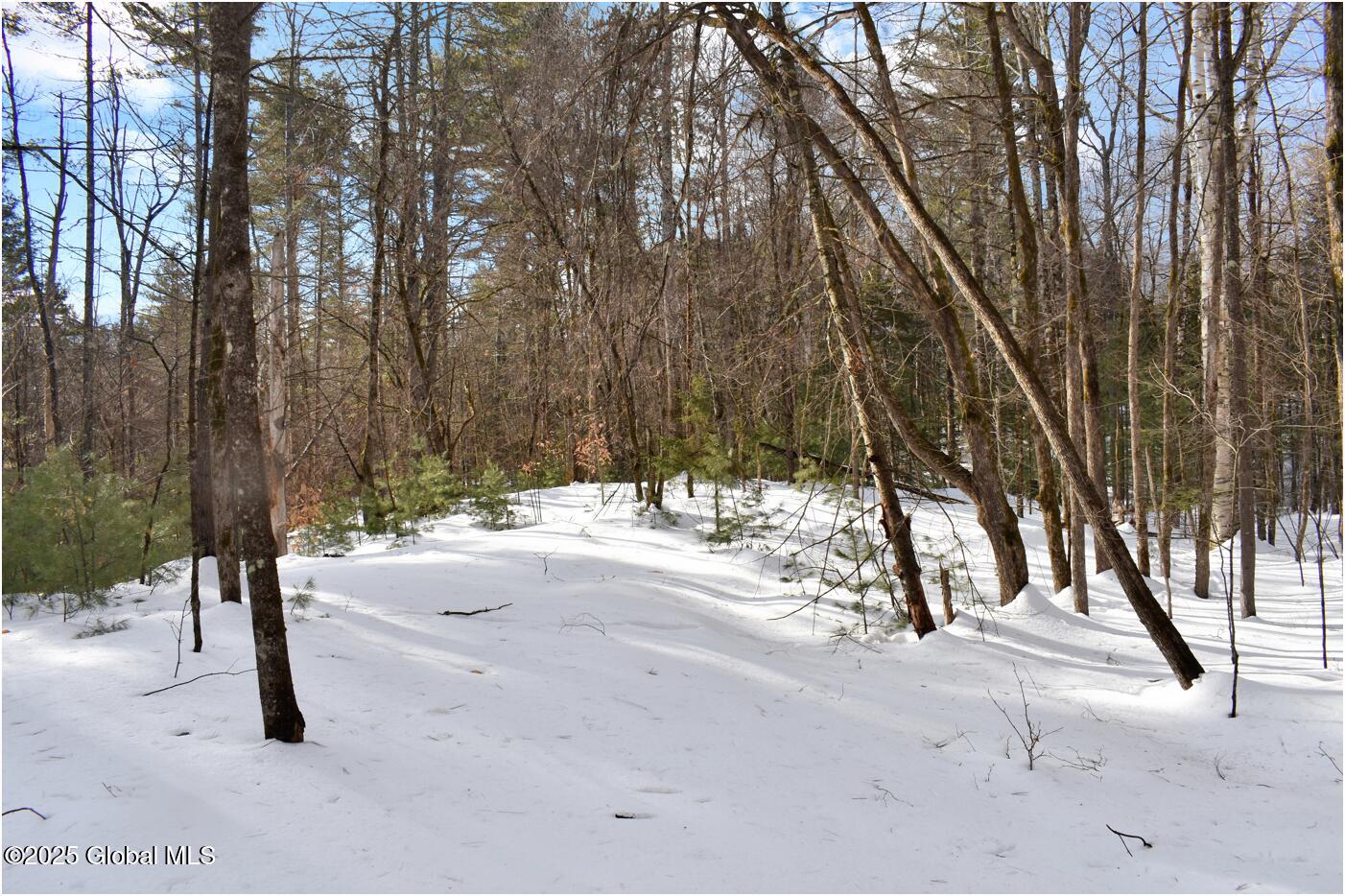 L94 Highview Lane Wevertown NY 12886