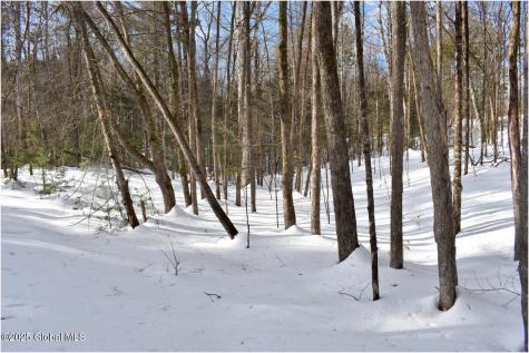 L94 Highview Lane Wevertown NY 12886