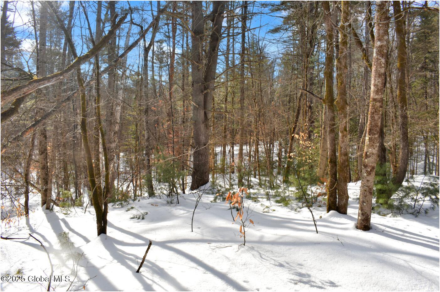 L94 Highview Lane Wevertown NY 12886