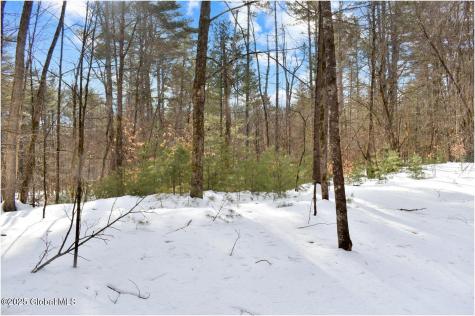 L94 Highview Lane Wevertown NY 12886