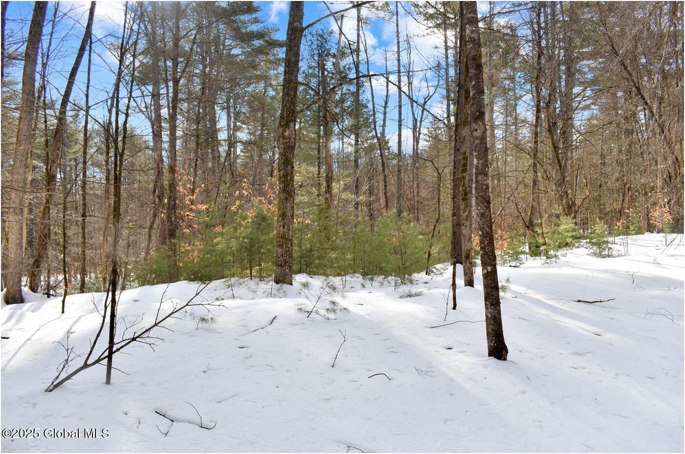 L94 Highview Lane Wevertown NY 12886