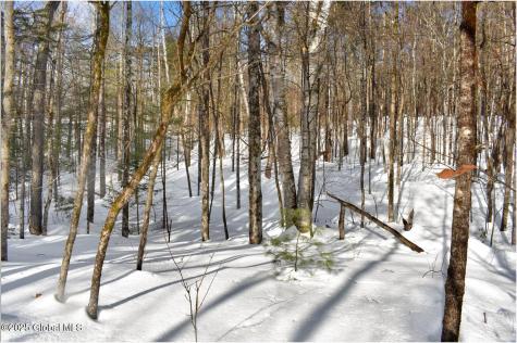 L94 Highview Lane Wevertown NY 12886
