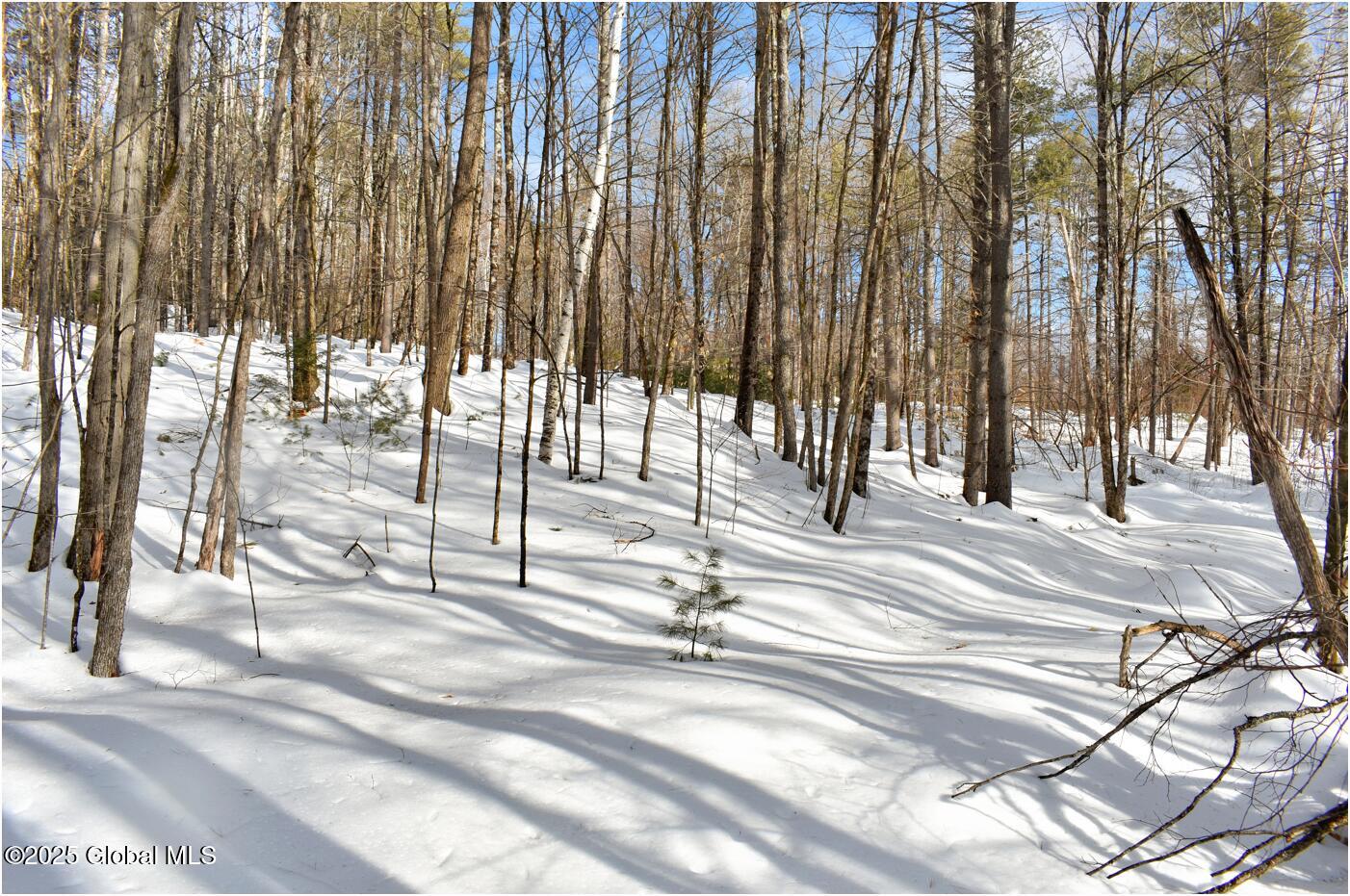 L94 Highview Lane Wevertown NY 12886