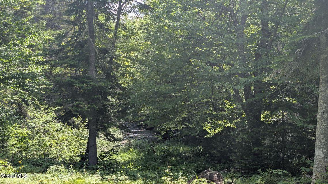 L3 Ny-30 Long Lake NY 12847