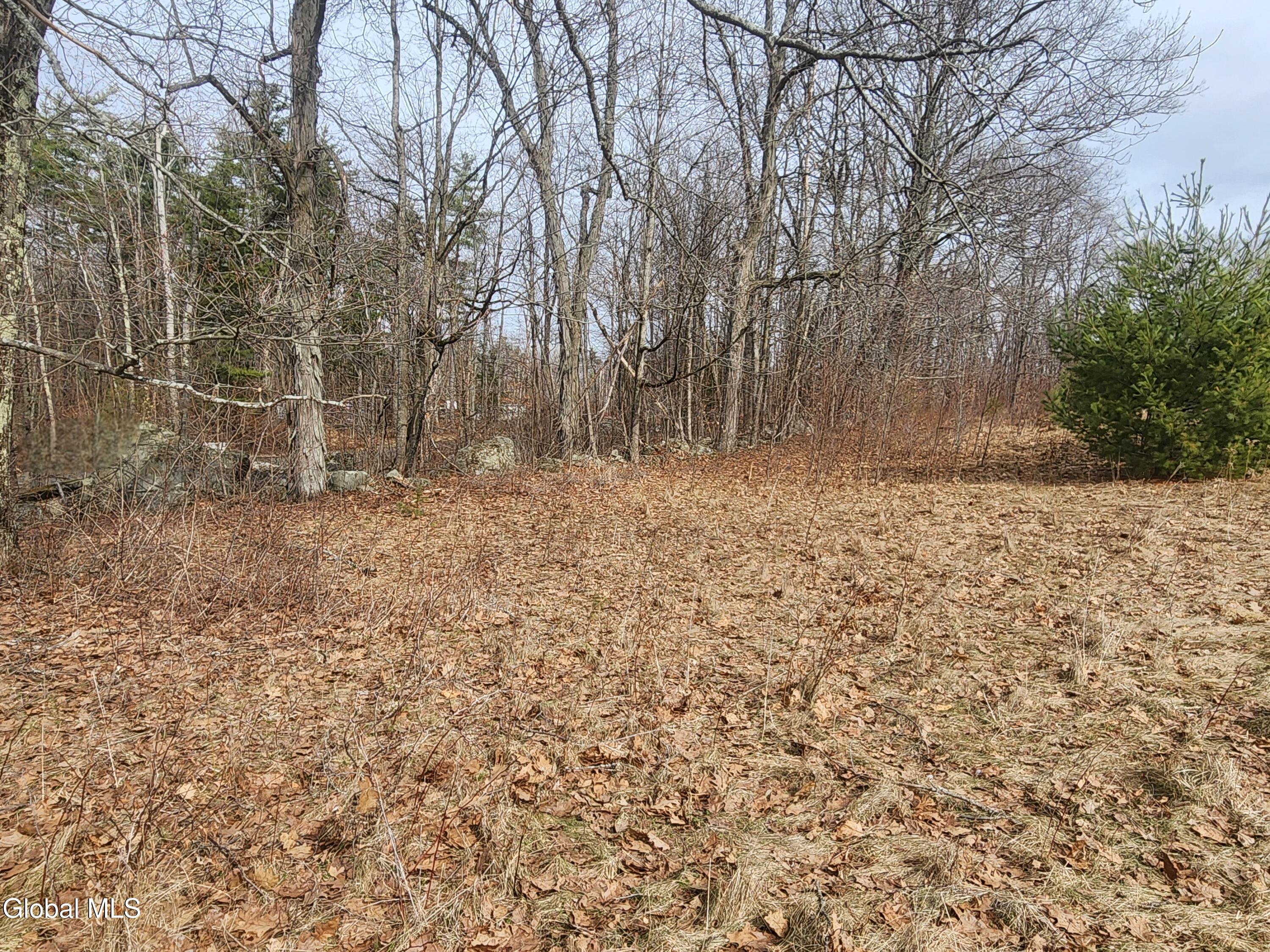 L 23.2 Lynn Road Averill Park NY 12018