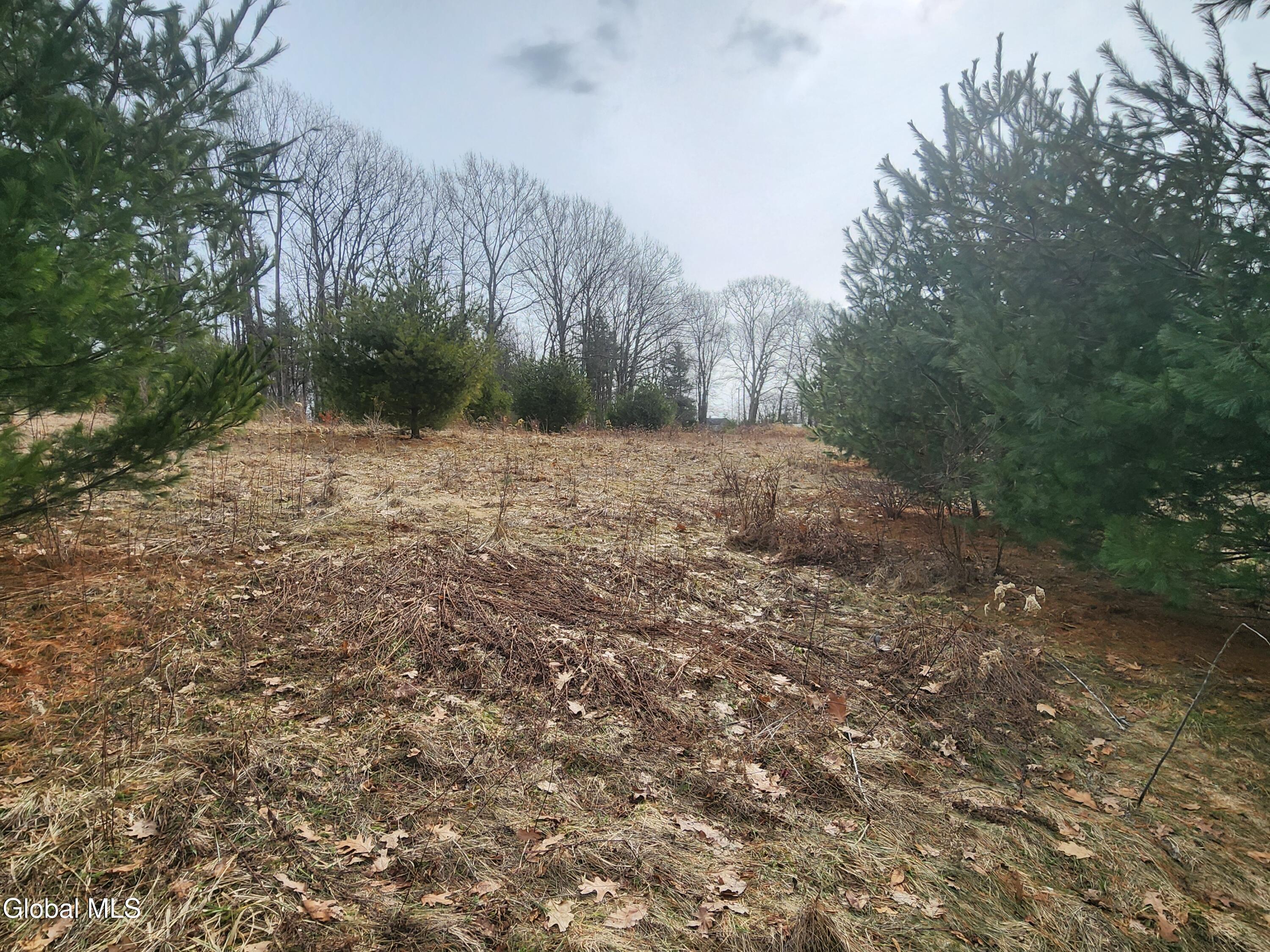 L 23.2 Lynn Road Averill Park NY 12018