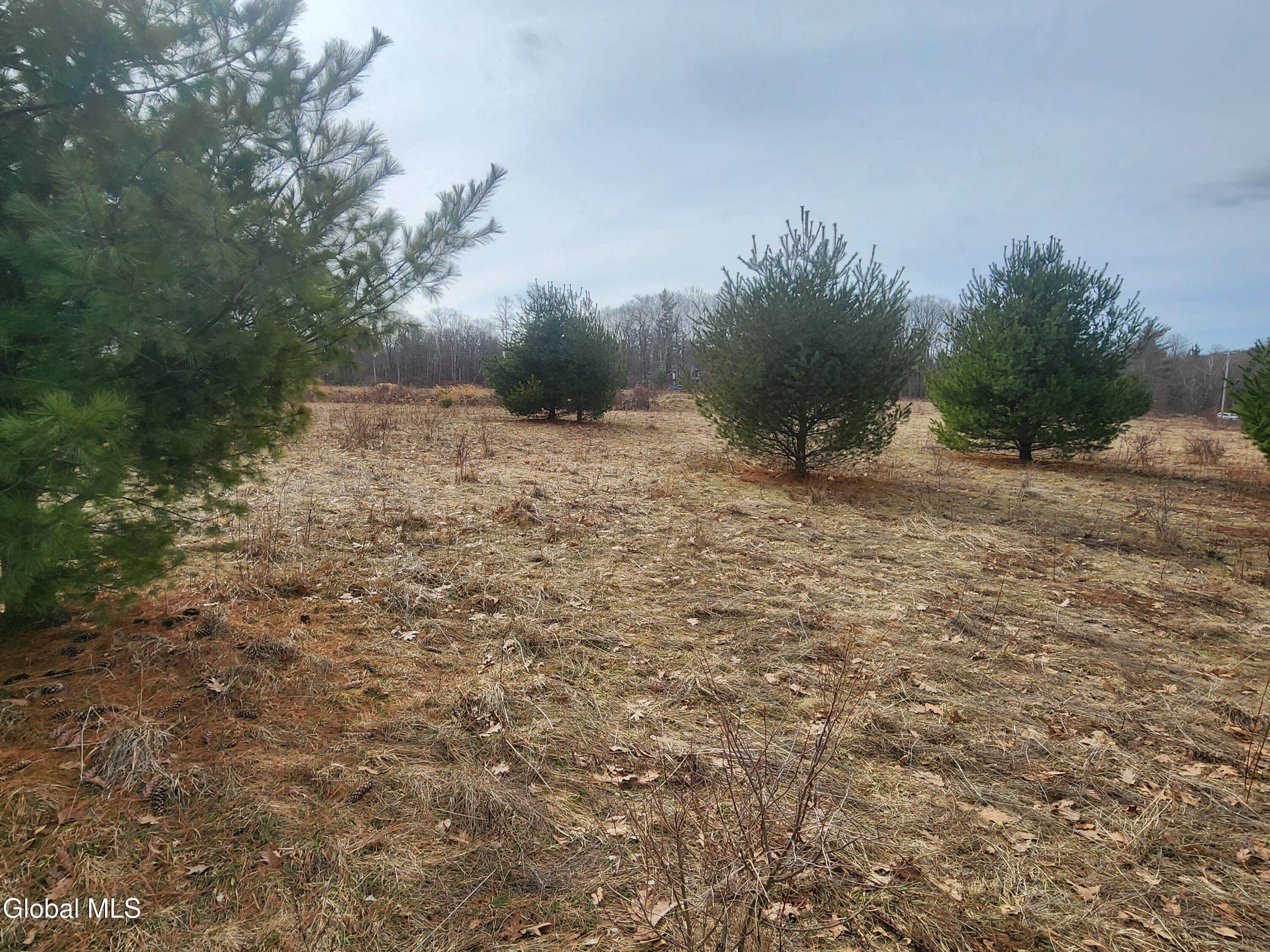 L 23.2 Lynn Road Averill Park NY 12018