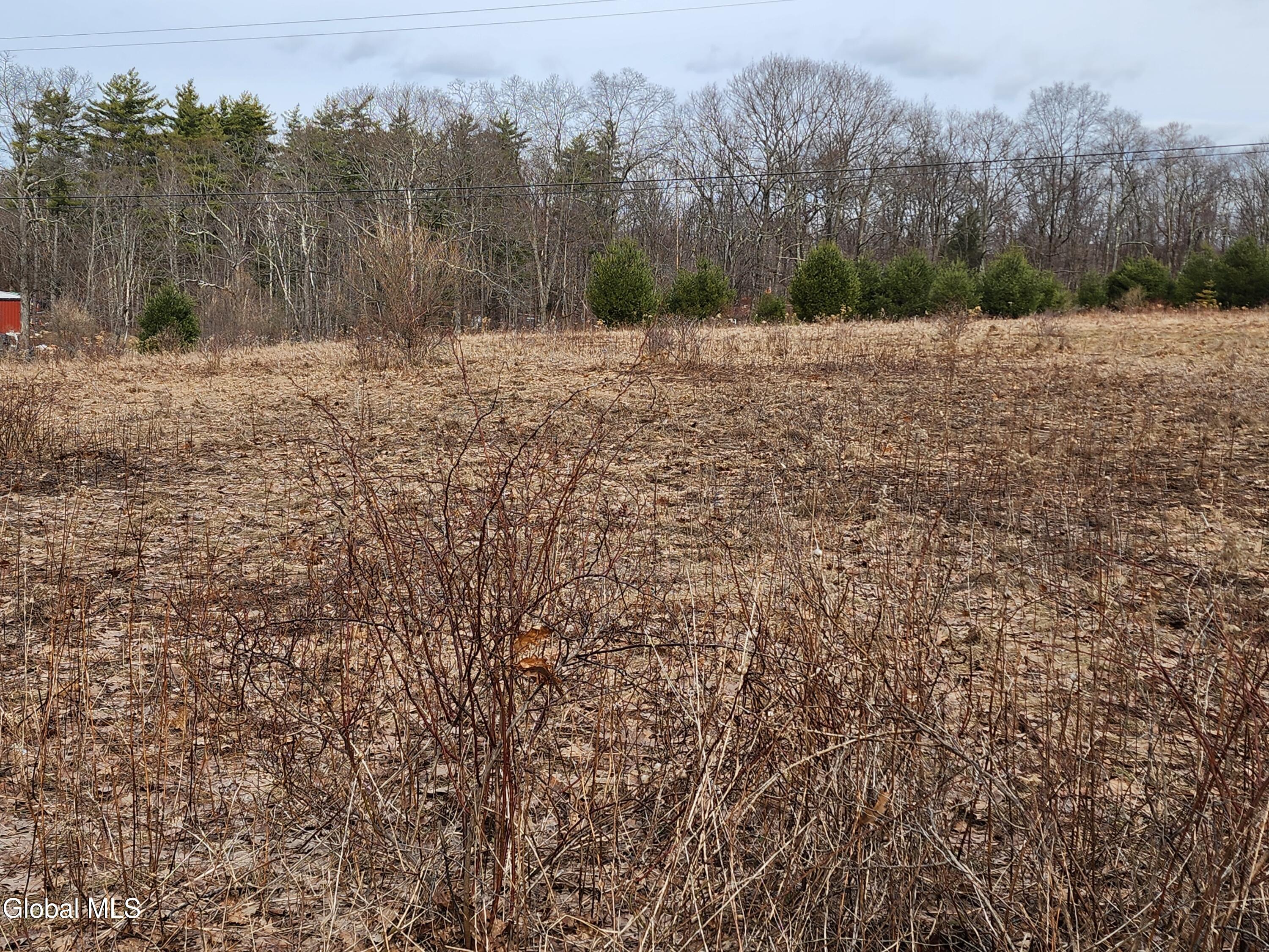 L 23.2 Lynn Road Averill Park NY 12018