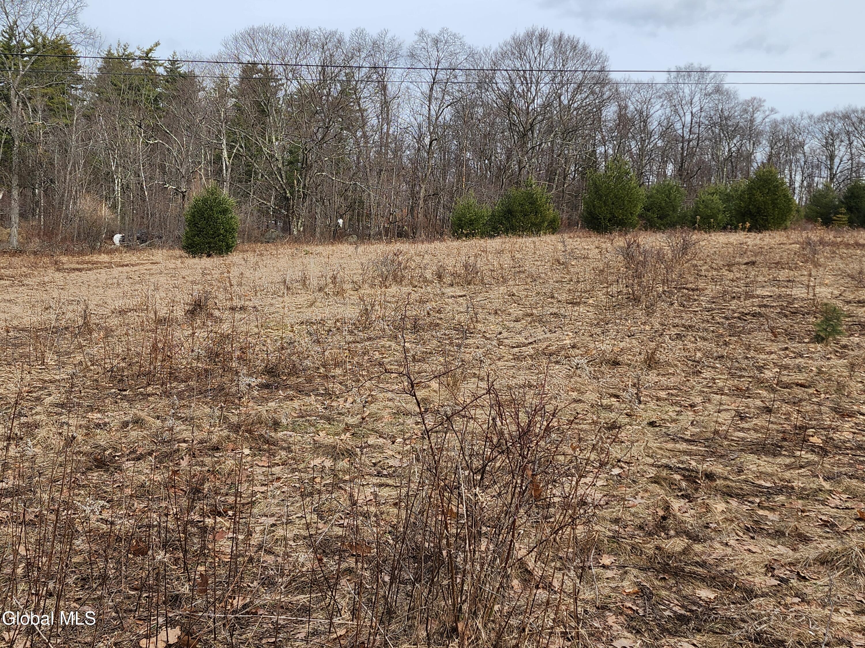 L 23.2 Lynn Road Averill Park NY 12018