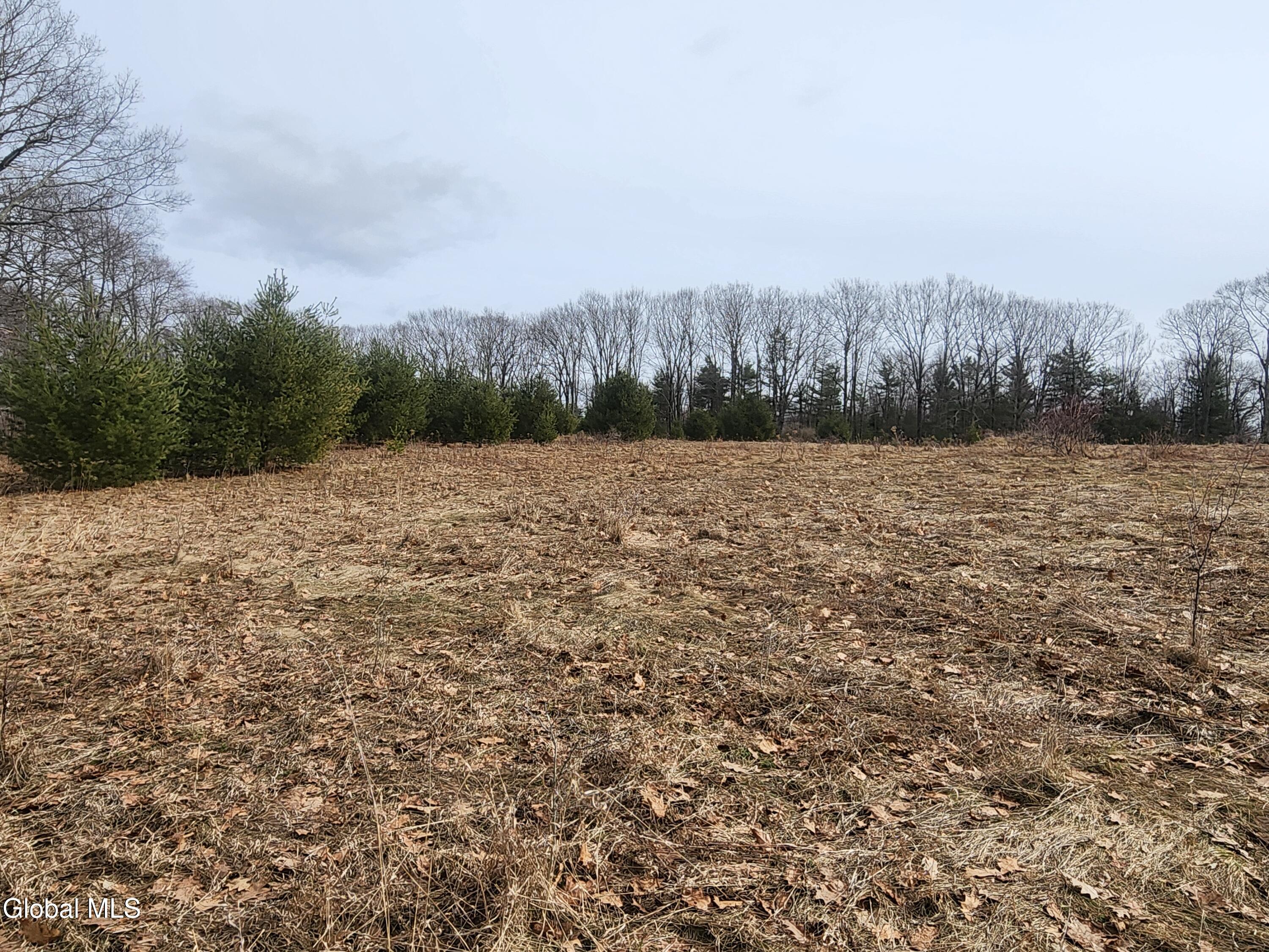 L 23.2 Lynn Road Averill Park NY 12018