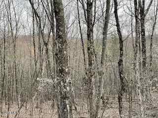 52 Oak Hill Road Granville NY 12832