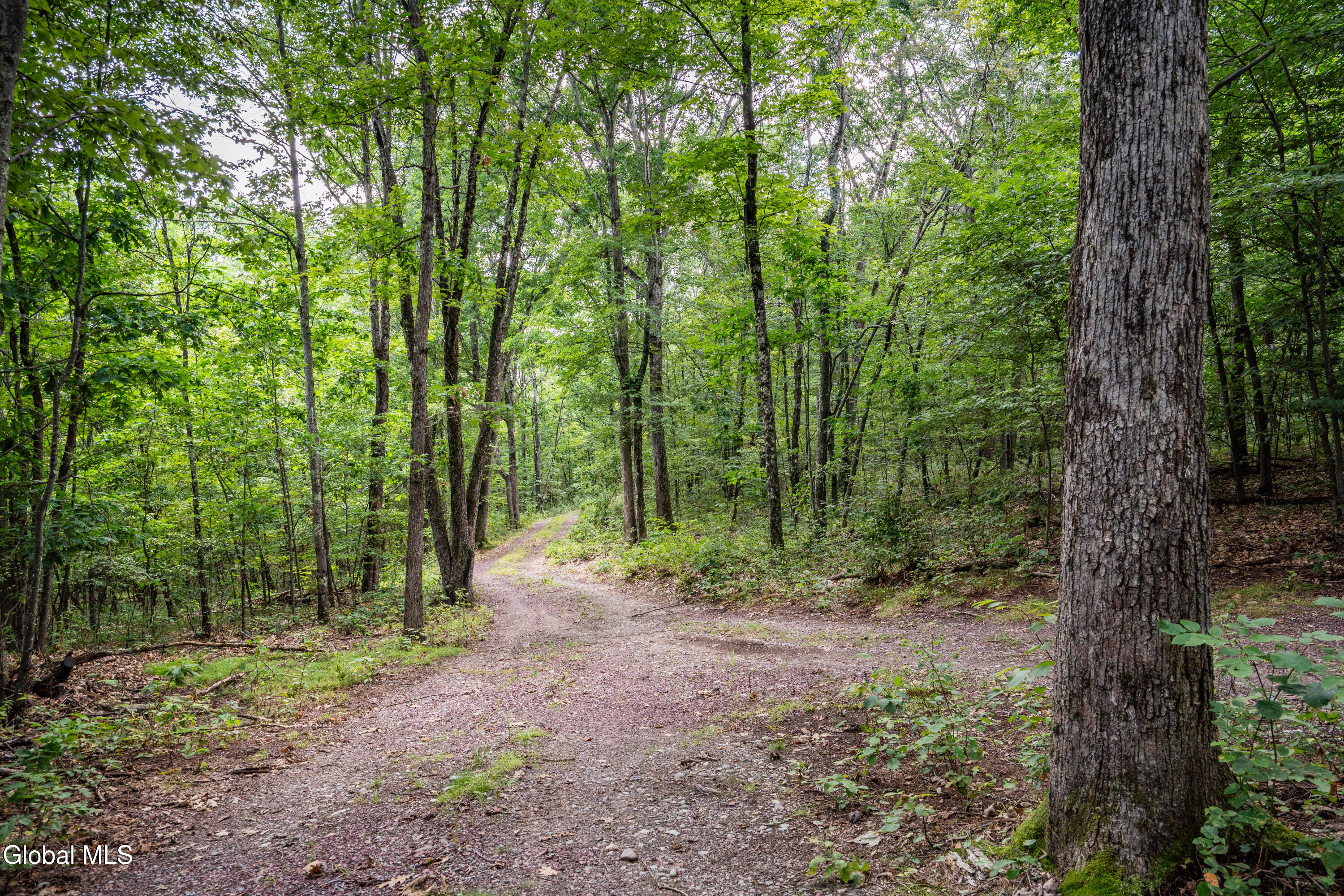 52 Oak Hill Road Granville NY 12832