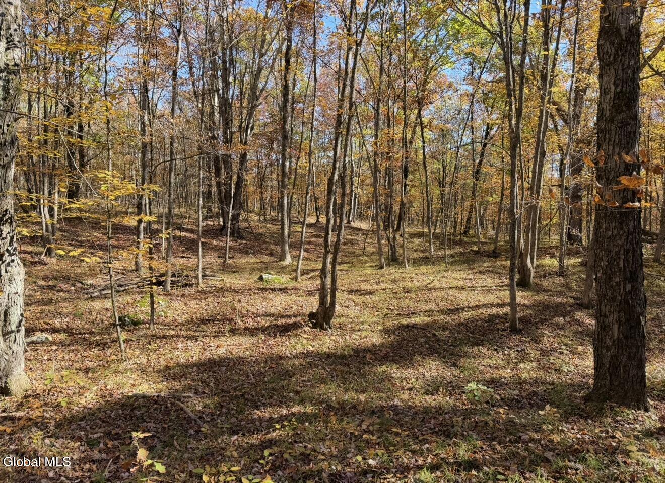 52 Oak Hill Road Granville NY 12832