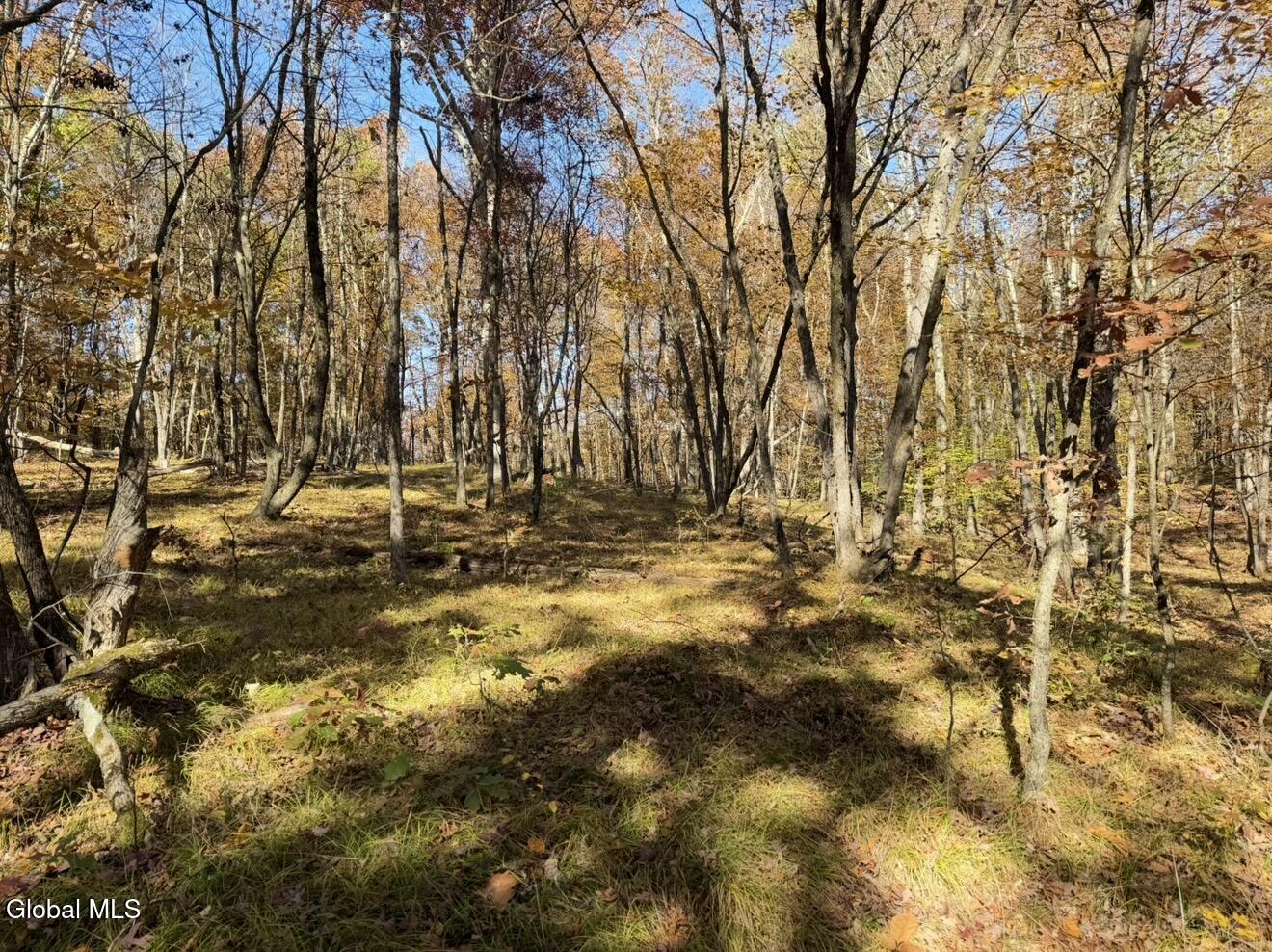 52 Oak Hill Road Granville NY 12832
