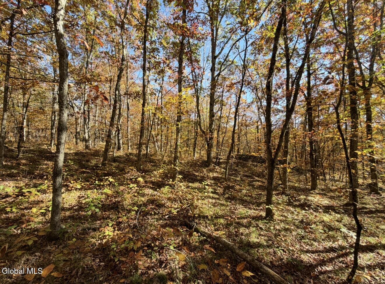 52 Oak Hill Road Granville NY 12832