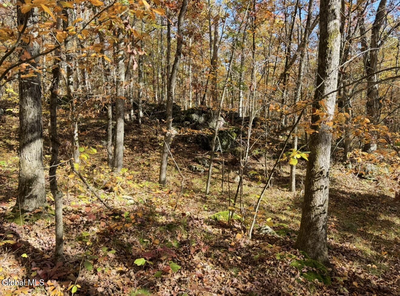 52 Oak Hill Road Granville NY 12832