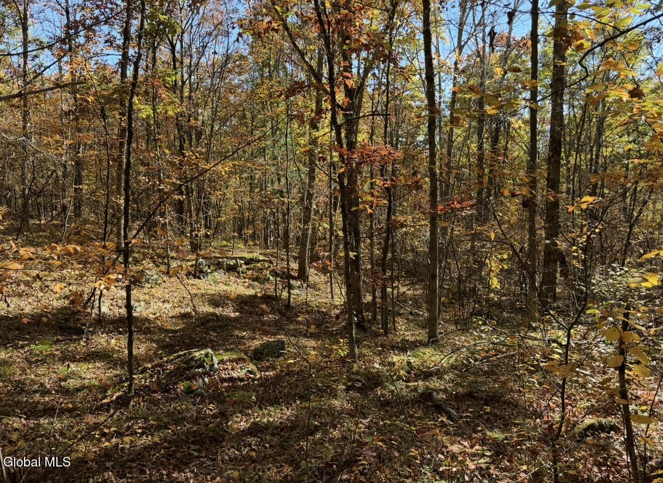 52 Oak Hill Road Granville NY 12832