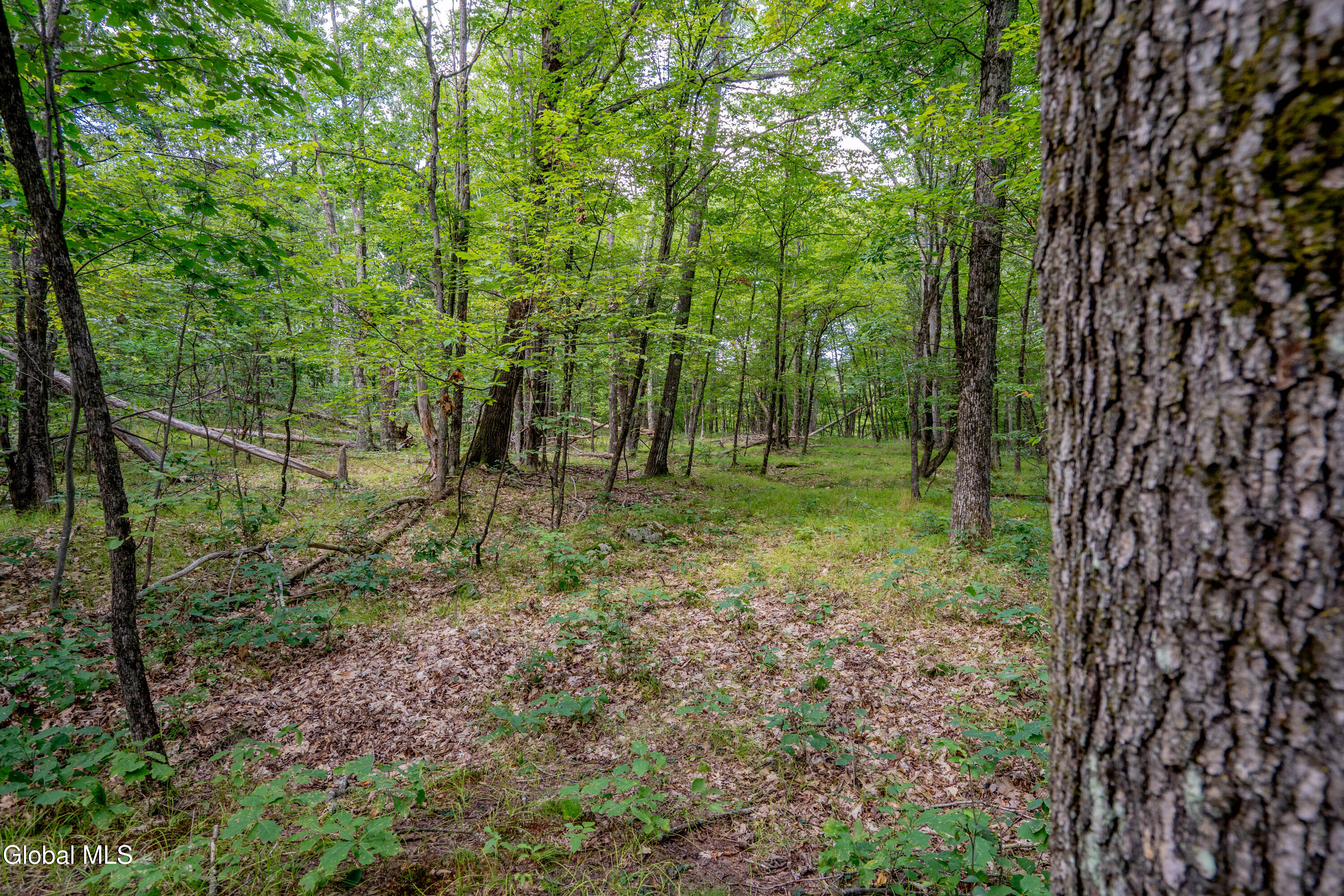 52 Oak Hill Road Granville NY 12832