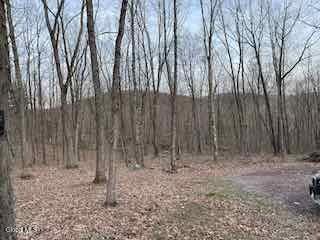52 Oak Hill Road Granville NY 12832