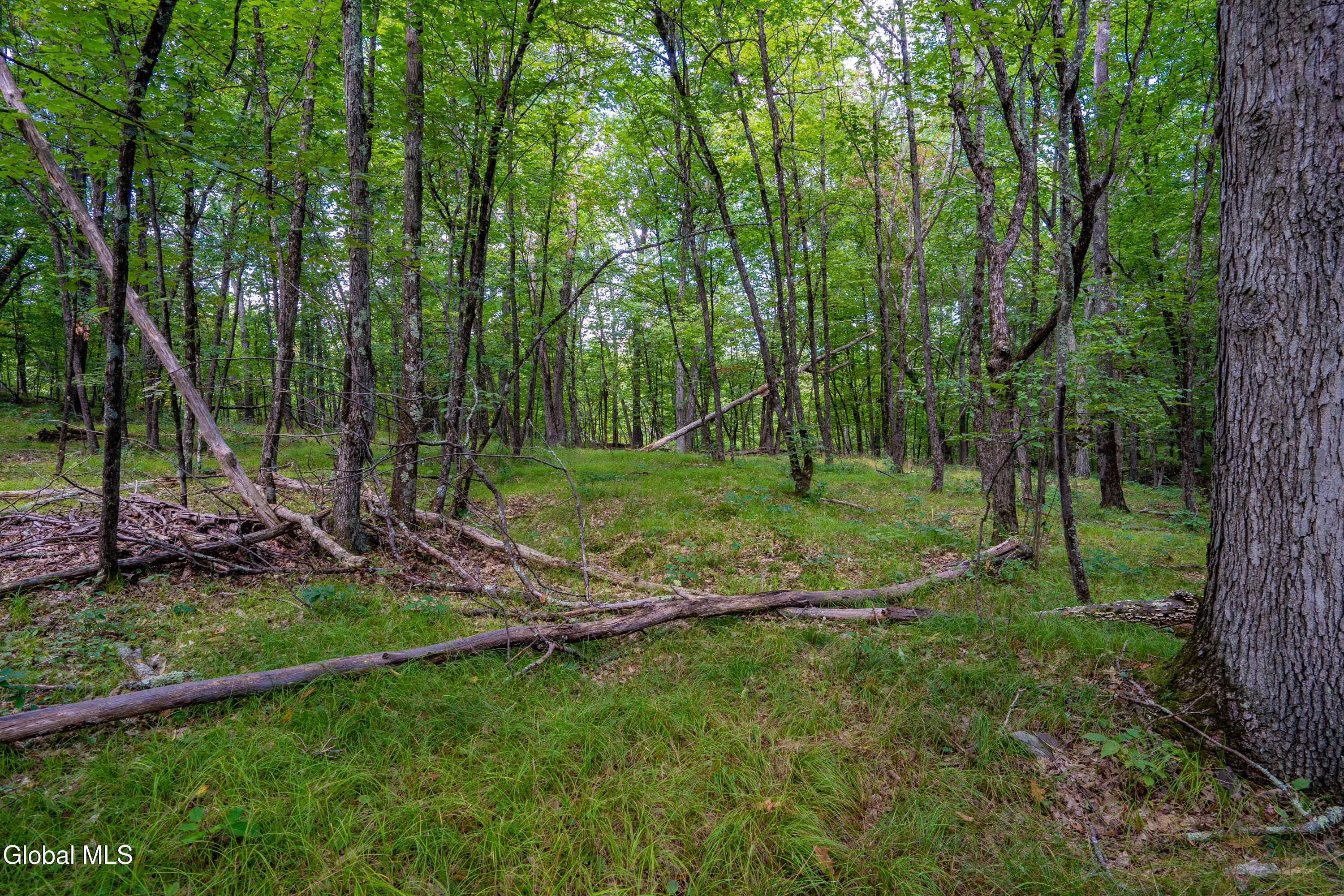 52 Oak Hill Road Granville NY 12832