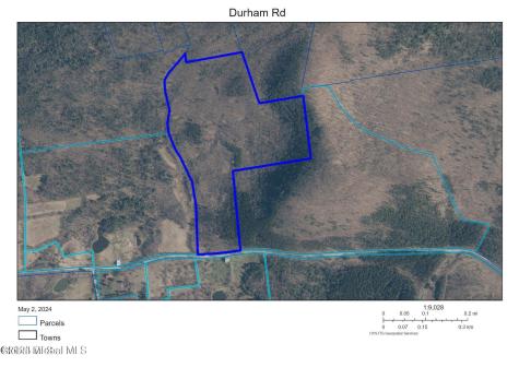 L3 Durham Road Conesville NY 12076