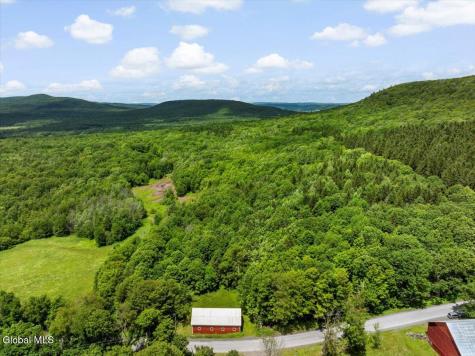L3 Durham Road Conesville NY 12076