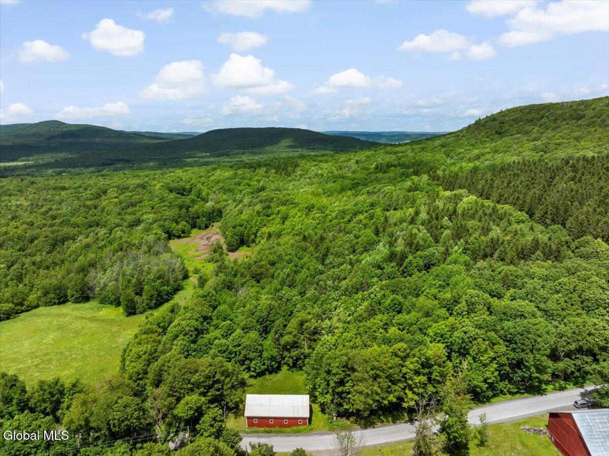 L3 Durham Road Conesville NY 12076
