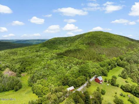 L3 Durham Road Conesville NY 12076