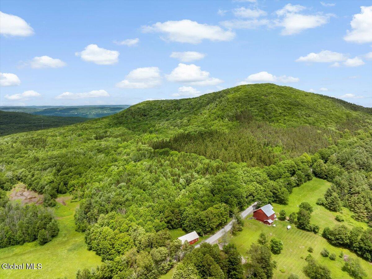 L3 Durham Road Conesville NY 12076
