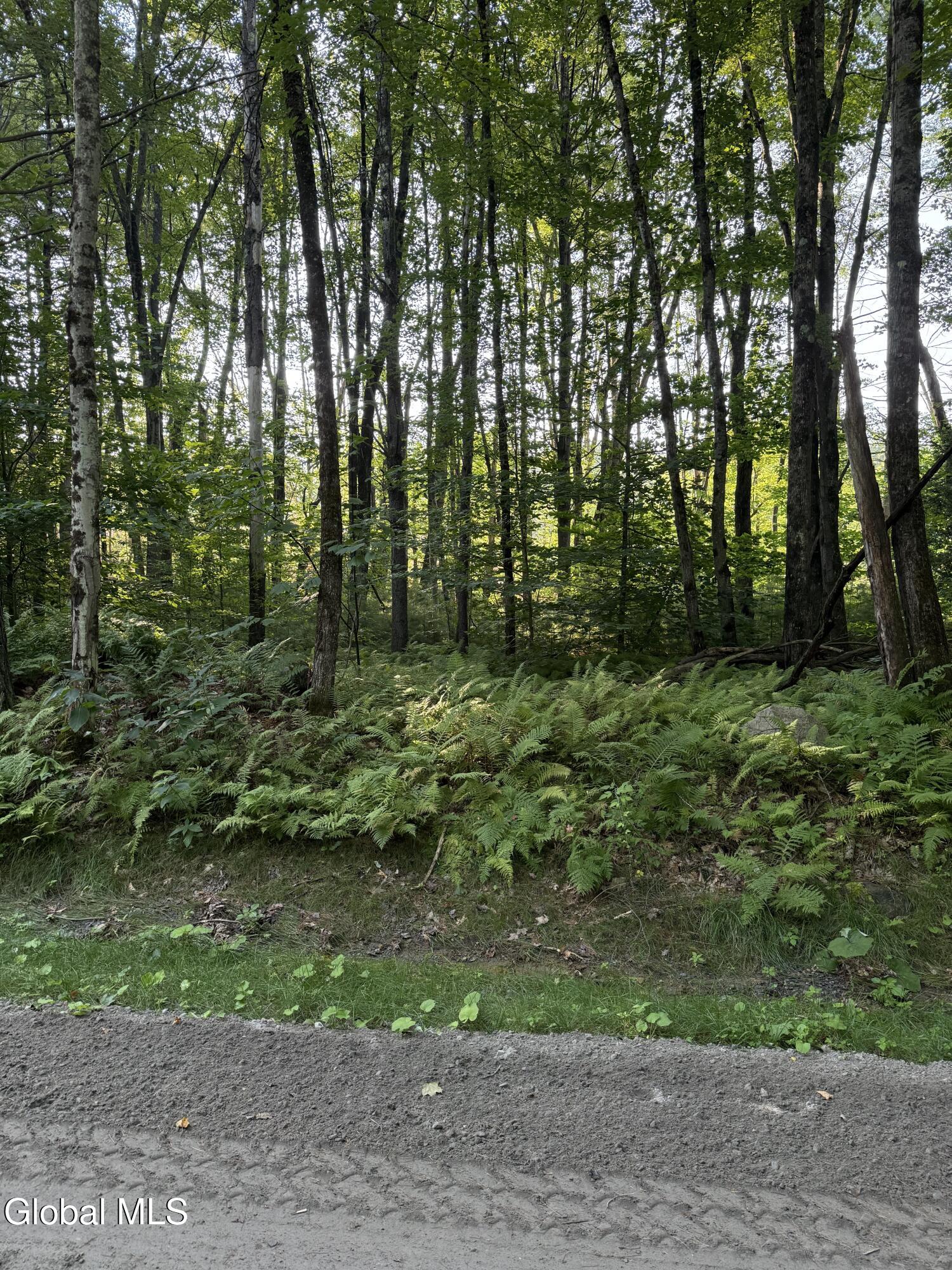 354 Dickinson Hill Road Bolton NY 12824
