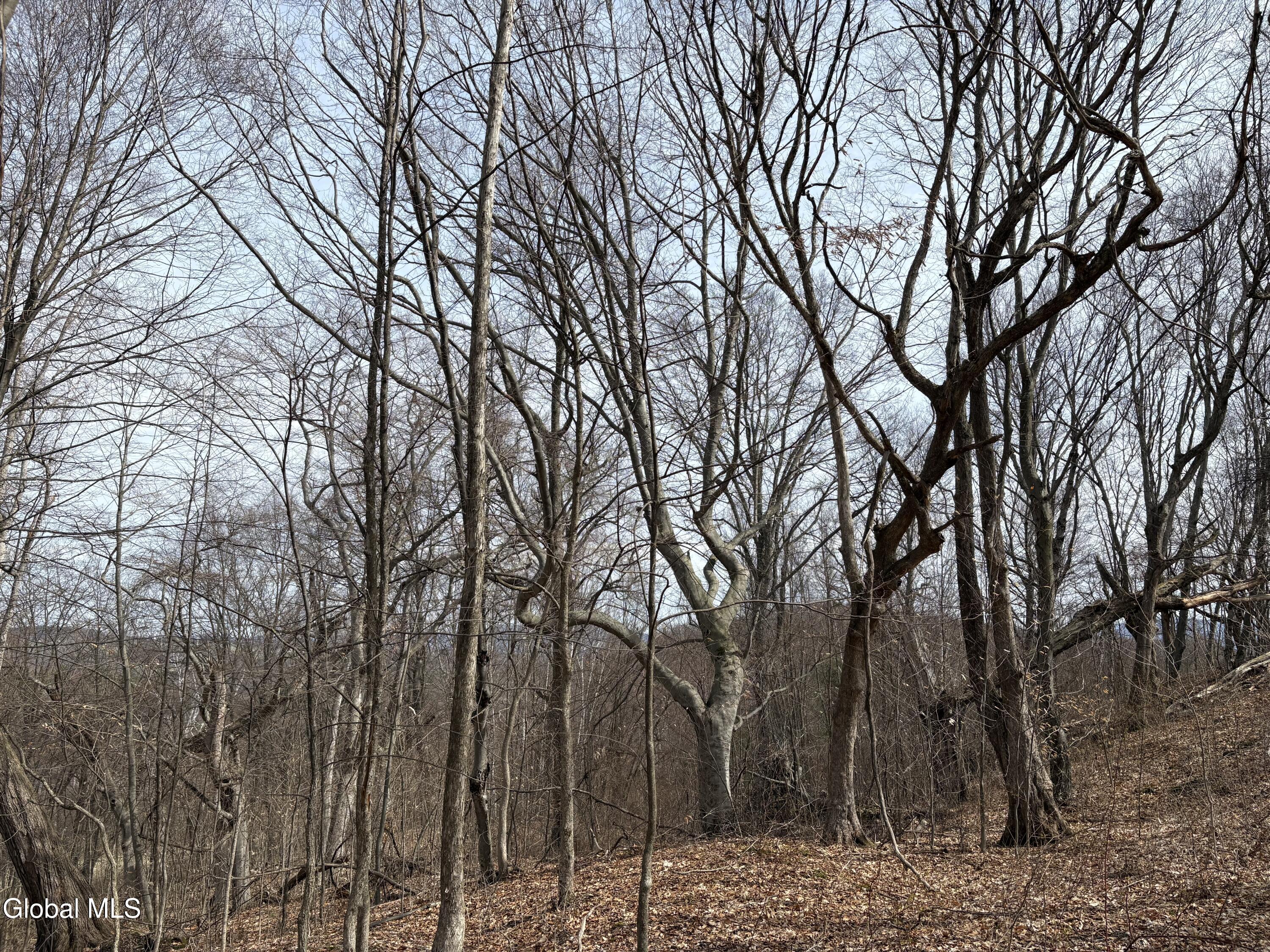 605 Breese Hollow Road Hoosick Falls NY 12090