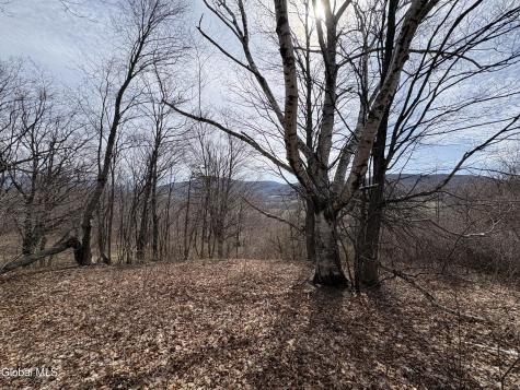 605 Breese Hollow Road Hoosick Falls NY 12090