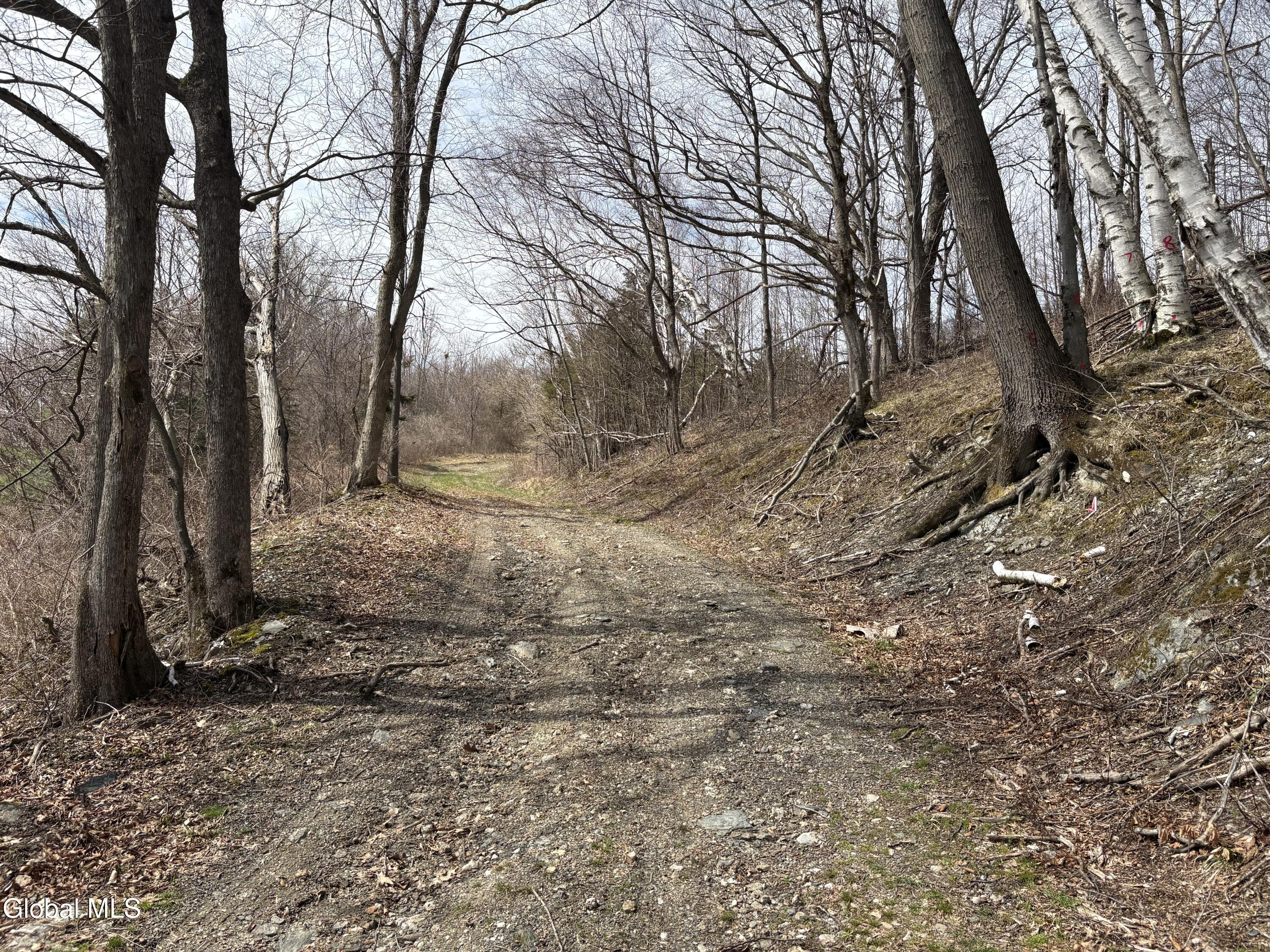 605 Breese Hollow Road Hoosick Falls NY 12090