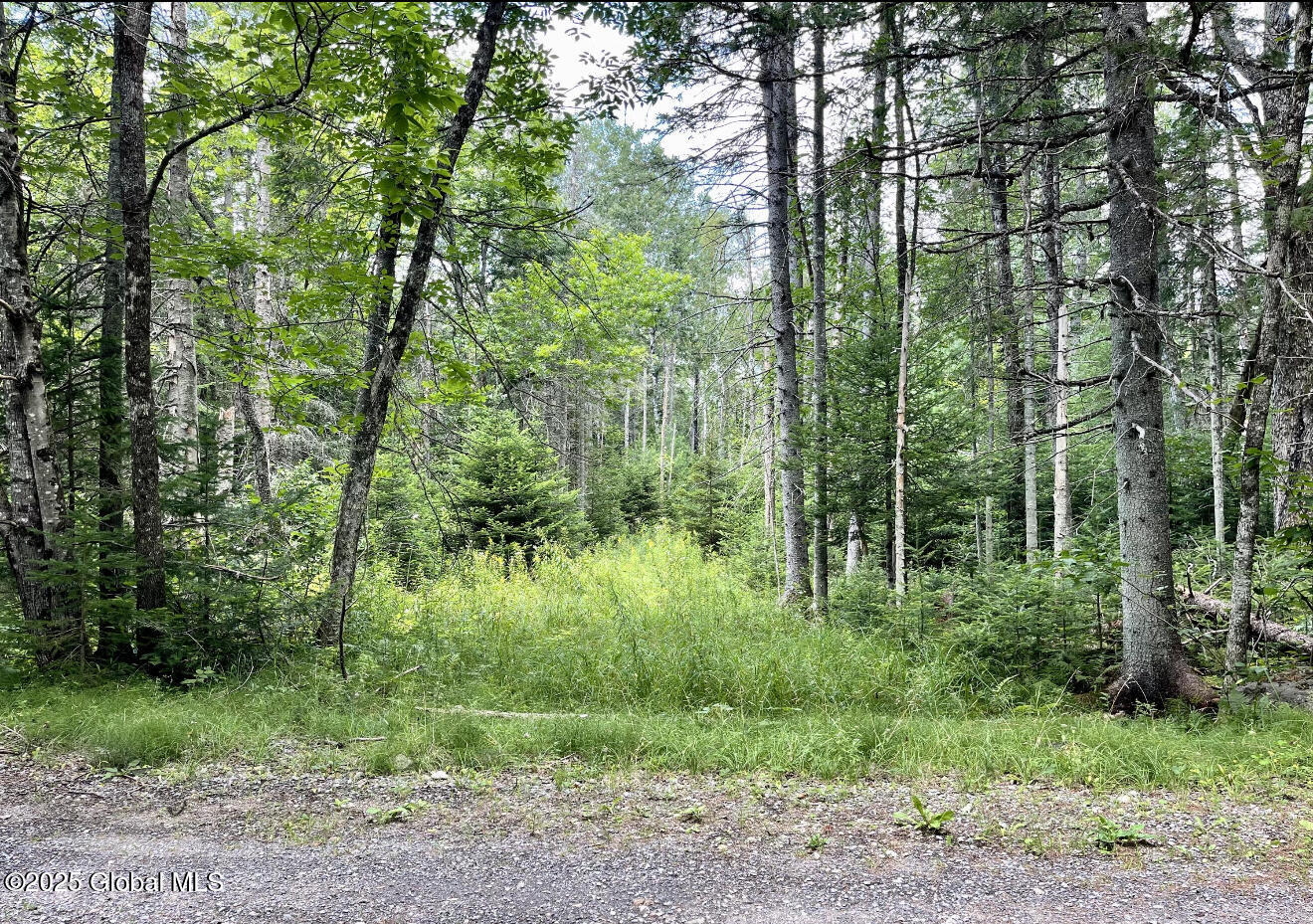 L13 Balsam Drive Indian Lake NY 12842