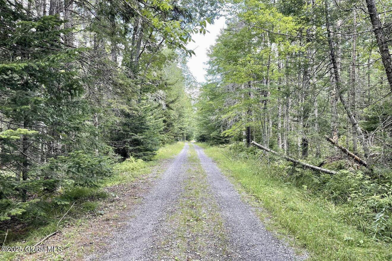 L13 Balsam Drive Indian Lake NY 12842