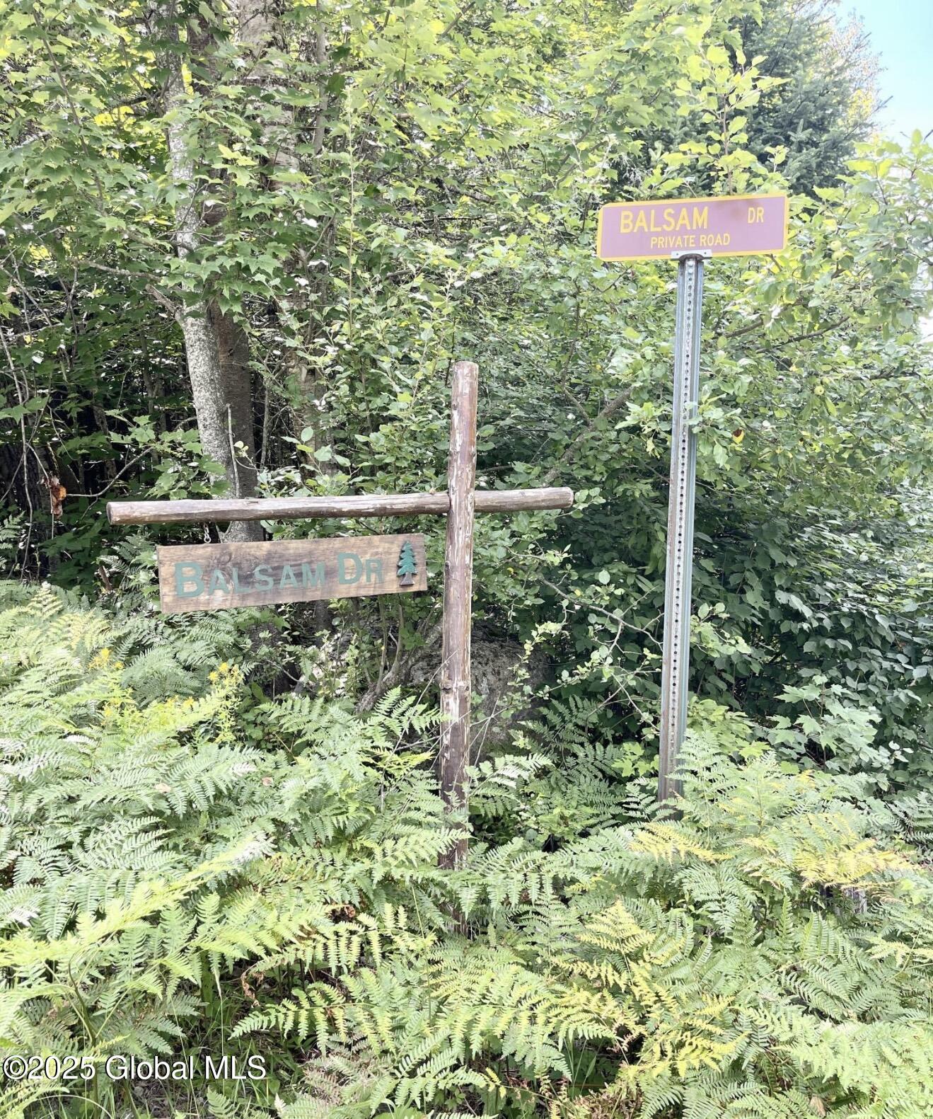 L13 Balsam Drive Indian Lake NY 12842