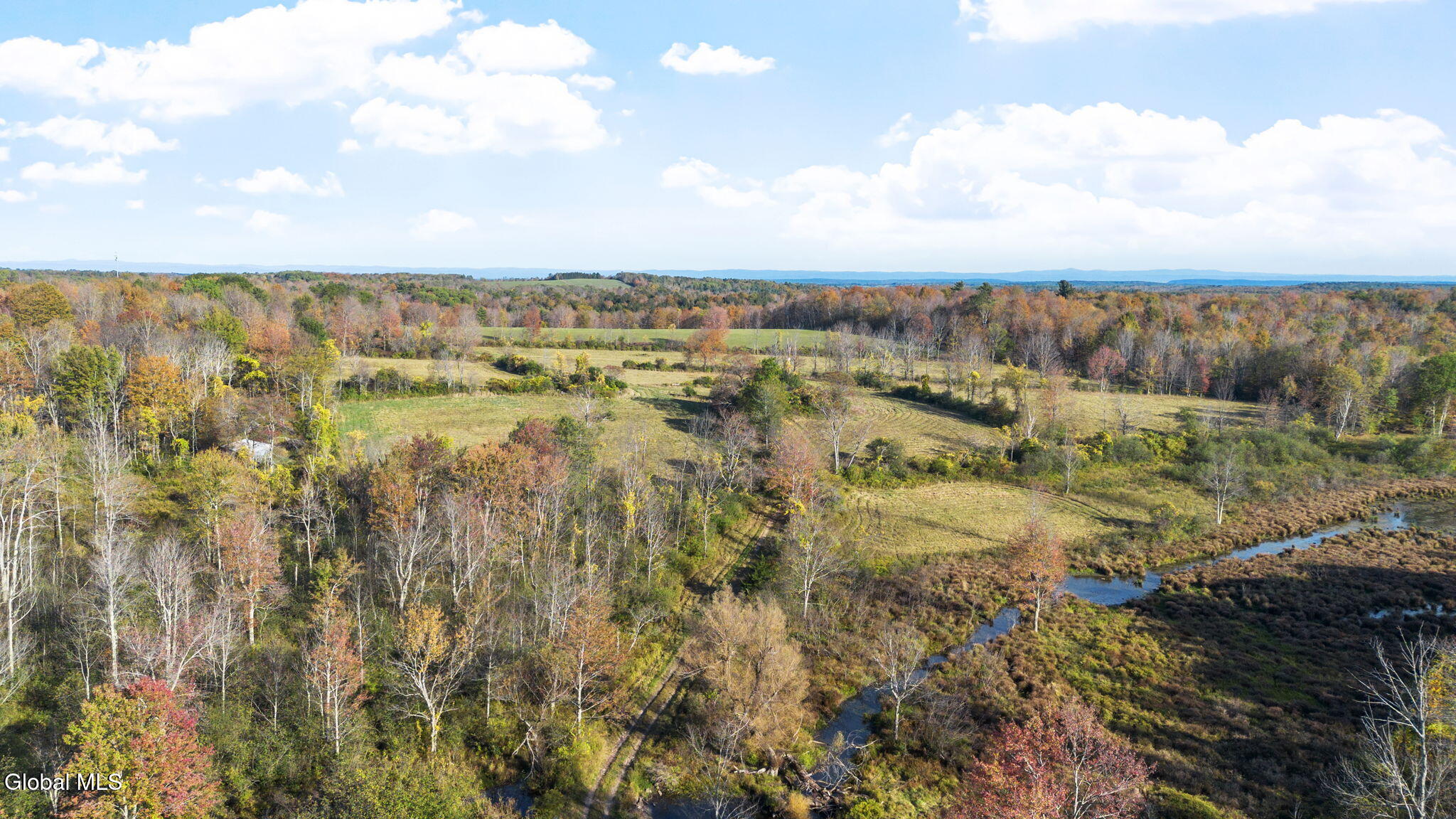 207 Kropp Road Westerlo NY 12193