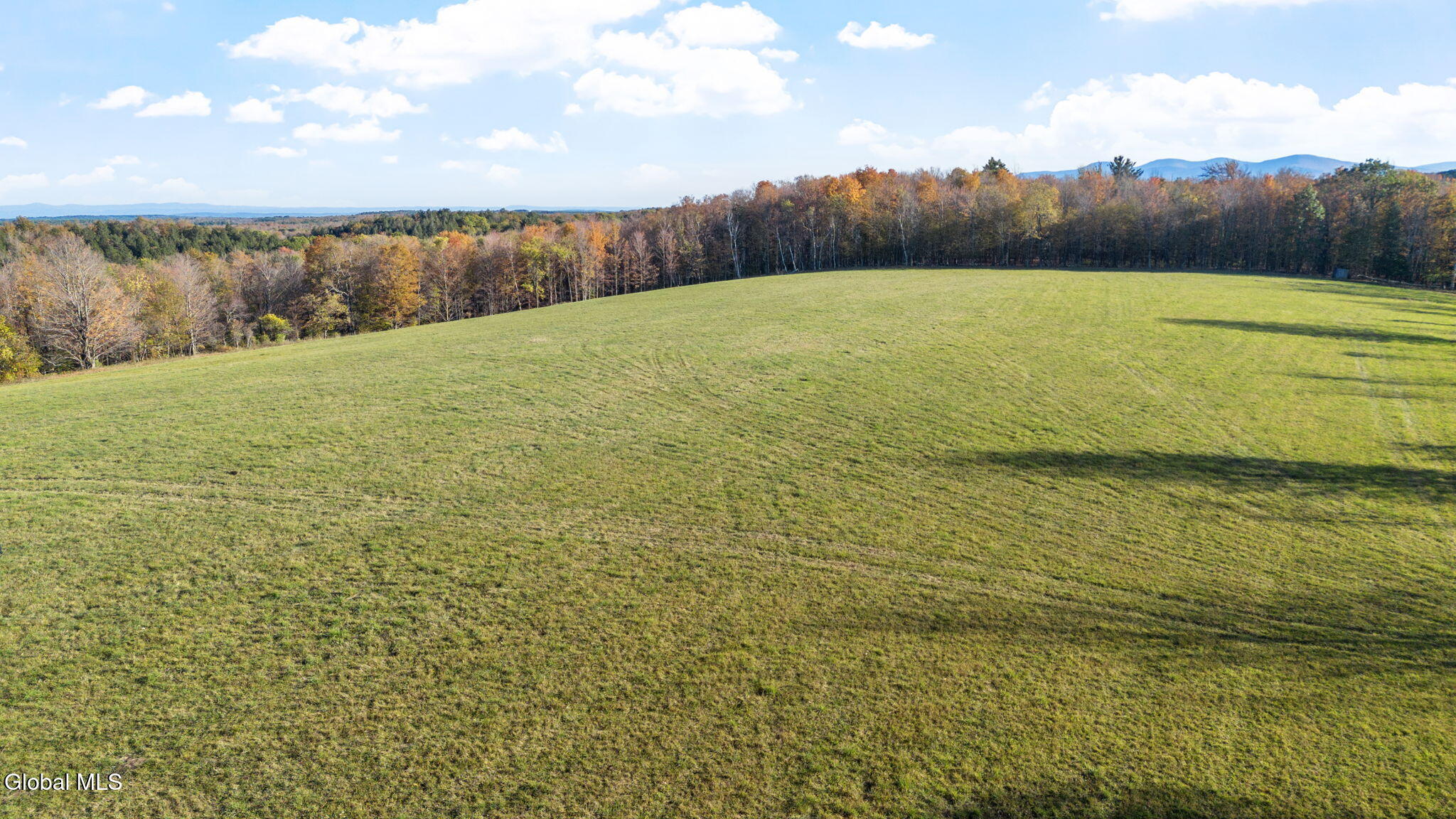 207 Kropp Road Westerlo NY 12193