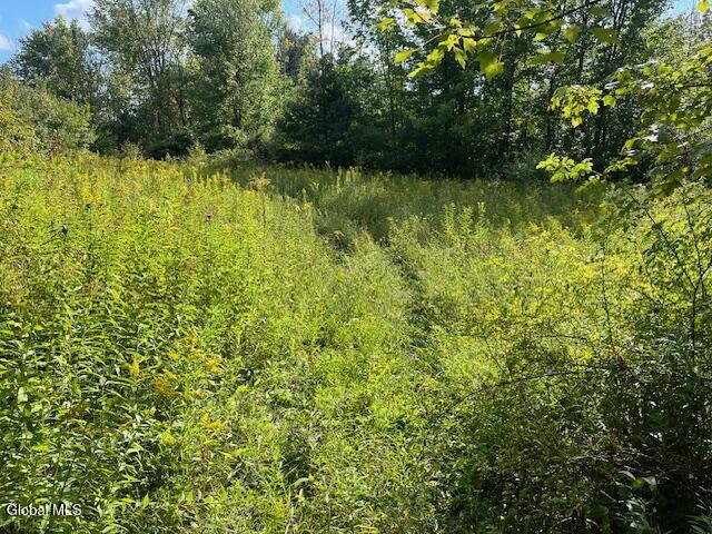 L6 Burtonville Road Fultonville NY 12072