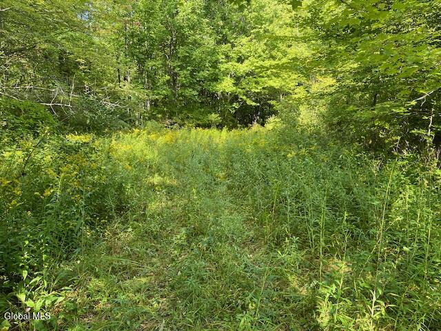 L6 Burtonville Road Fultonville NY 12072