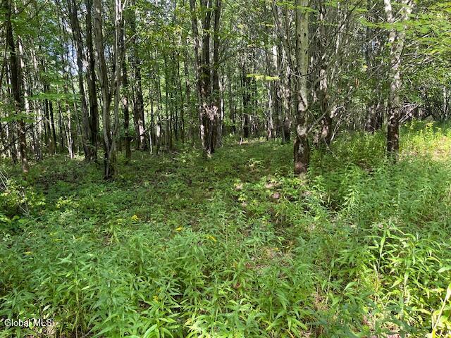 L6 Burtonville Road Fultonville NY 12072