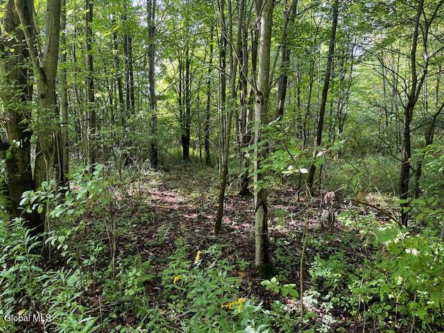 L6 Burtonville Road Fultonville NY 12072